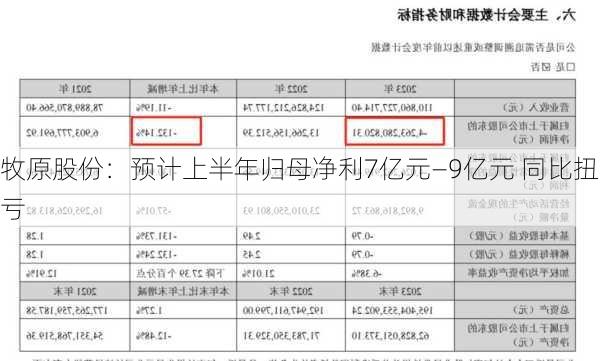 牧原股份：预计上半年归母净利7亿元―9亿元 同比扭亏