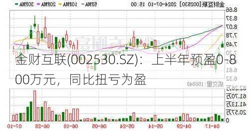 金财互联(002530.SZ)：上半年预盈0-800万元，同比扭亏为盈