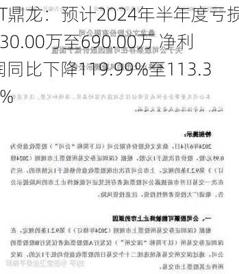 ST鼎龙：预计2024年半年度亏损1030.00万至690.00万 净利润同比下降119.99%至113.39%