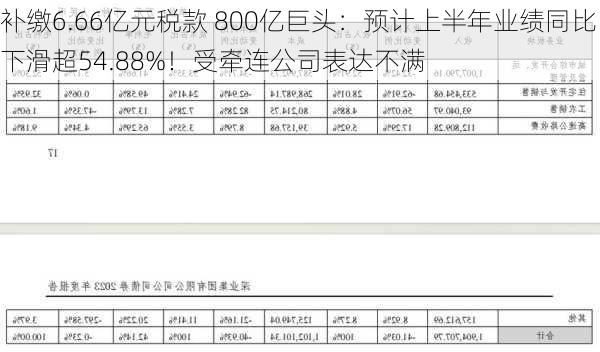 补缴6.66亿元税款 800亿巨头：预计上半年业绩同比下滑超54.88%！受牵连公司表达不满