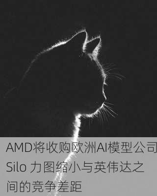 AMD将收购欧洲AI模型公司Silo 力图缩小与英伟达之间的竞争差距