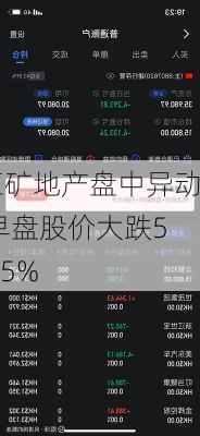 五矿地产盘中异动 早盘股价大跌5.75%