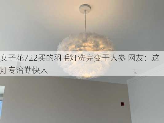 女子花722买的羽毛灯洗完变干人参 网友：这灯专治勤快人