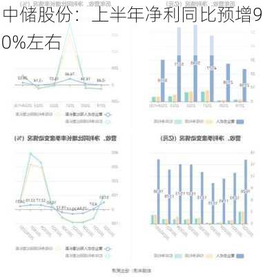 中储股份：上半年净利同比预增90%左右