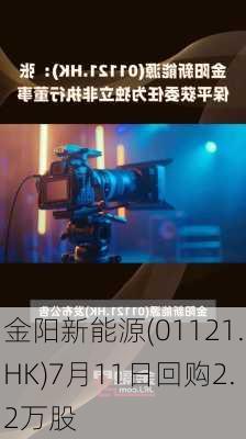 金阳新能源(01121.HK)7月11日回购2.2万股