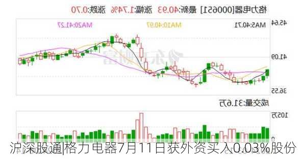 沪深股通|格力电器7月11日获外资买入0.03%股份