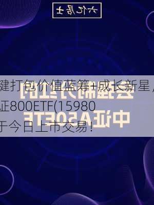 一键打包价值蓝筹+成长新星，中证800ETF(159800)于今日上市交易！