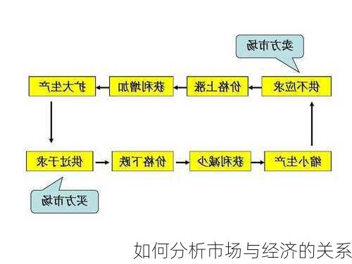 如何分析市场与经济的关系