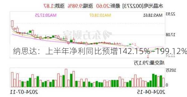 纳思达：上半年净利同比预增142.15%―199.12%