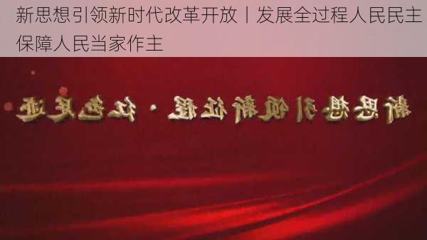 新思想引领新时代改革开放丨发展全过程人民民主 保障人民当家作主