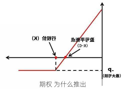 期权 为什么推出