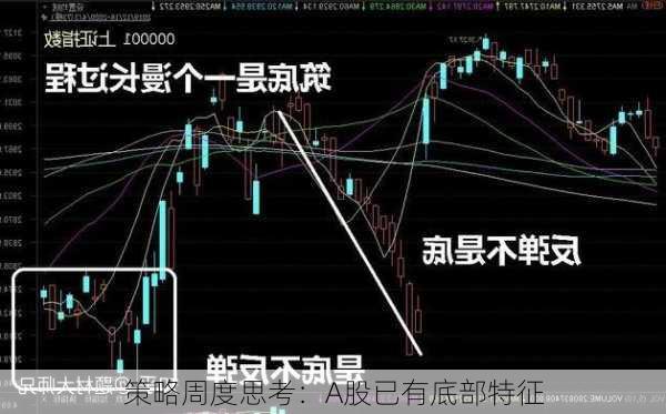 策略周度思考：A股已有底部特征