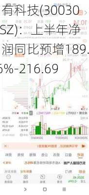 同有科技(300302.SZ)：上半年净利润同比预增189.76%-216.69%