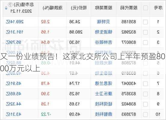 又一份业绩预告！这家北交所公司上半年预盈8000万元以上