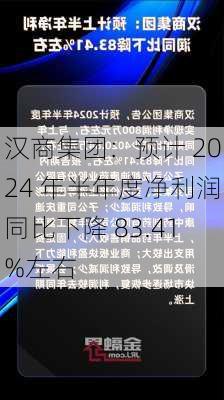 汉商集团：预计 2024 年半年度净利润同比下降 83.41%左右