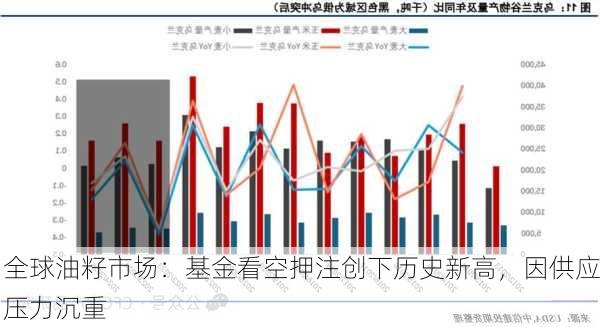 全球油籽市场：基金看空押注创下历史新高，因供应压力沉重