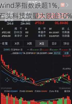 Wind茅指数跌超1%，石头科技放量大跌逾10%