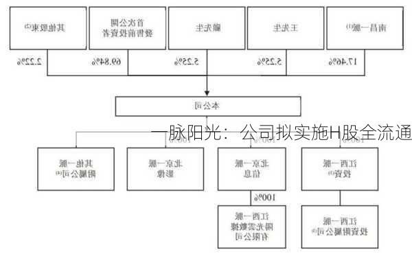 一脉阳光：公司拟实施H股全流通