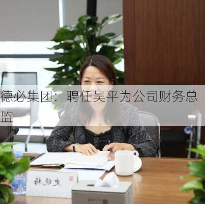 德必集团：聘任吴平为公司财务总监