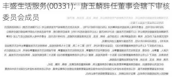 丰盛生活服务(00331)：唐玉麟辞任董事会辖下审核委员会成员