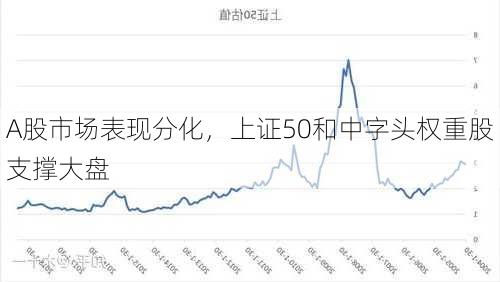 A股市场表现分化，上证50和中字头权重股支撑大盘