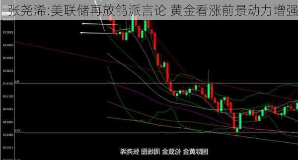 张尧浠:美联储再放鸽派言论 黄金看涨前景动力增强