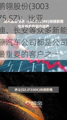 鹏翎股份(300375.SZ)：比亚迪、长安等众多新能源汽车公司都是公司最重要的客户之一