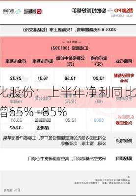 晨化股份：上半年净利同比预增65%―85%