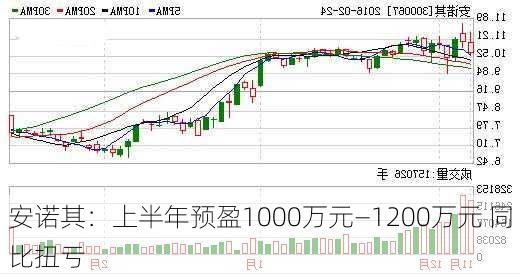 安诺其：上半年预盈1000万元―1200万元 同比扭亏