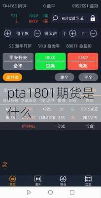 pta1801期货是什么