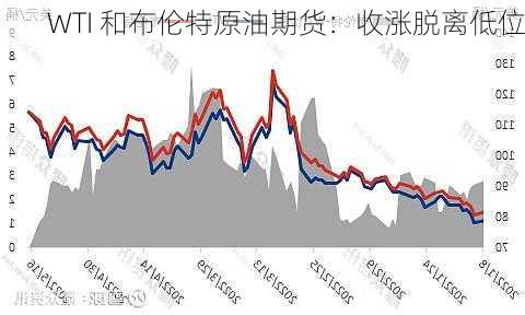 WTI 和布伦特原油期货：收涨脱离低位