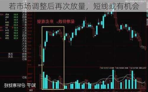 若市场调整后再次放量，短线或有机会