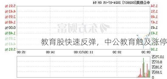 教育股快速反弹，中公教育触及涨停