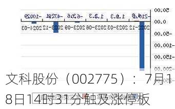 文科股份（002775）：7月18日14时31分触及涨停板