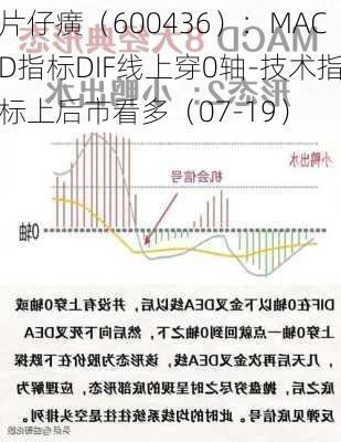 片仔癀（600436）：MACD指标DIF线上穿0轴-技术指标上后市看多（07-19）