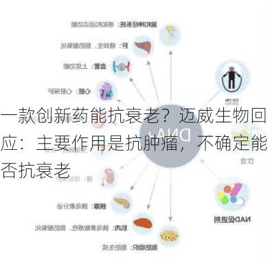 一款创新药能抗衰老？迈威生物回应：主要作用是抗肿瘤，不确定能否抗衰老