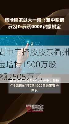 新湖中宝控股股东衢州智宝增持1500万股 金额2505万元