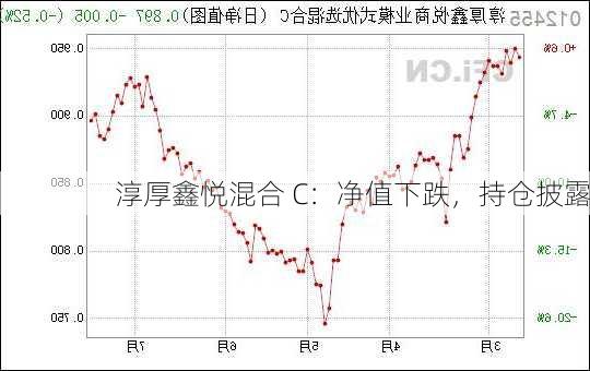 淳厚鑫悦混合 C：净值下跌，持仓披露