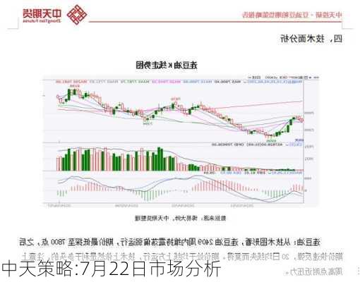 中天策略:7月22日市场分析