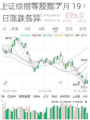 上证综指等股指 7 月 19 日涨跌各异