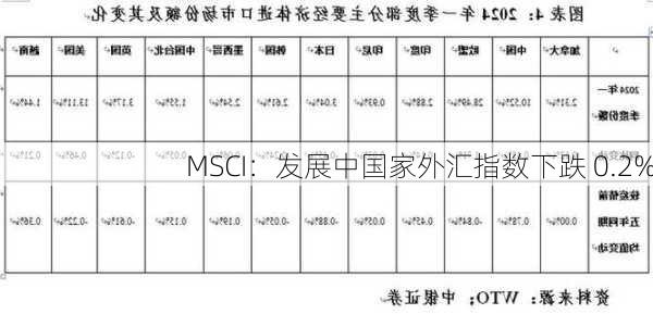 MSCI：发展中国家外汇指数下跌 0.2%