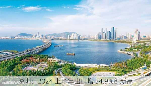 深圳：2024 上半年出口增 34.9%创新高