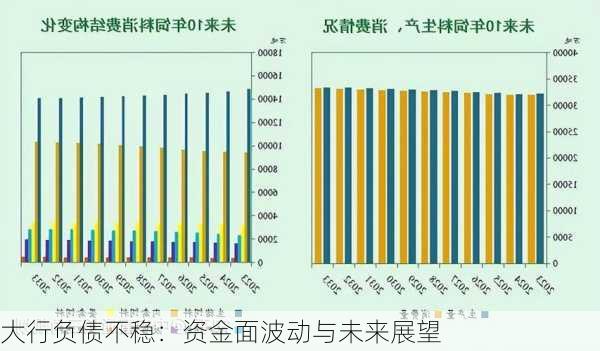 大行负债不稳：资金面波动与未来展望