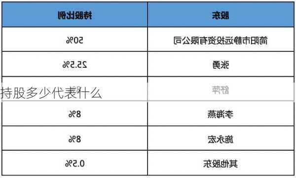 持股多少代表什么