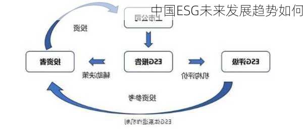 中国ESG未来发展趋势如何