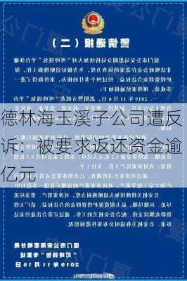 德林海玉溪子公司遭反诉：被要求返还资金逾亿元