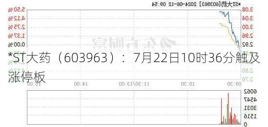 *ST大药（603963）：7月22日10时36分触及涨停板