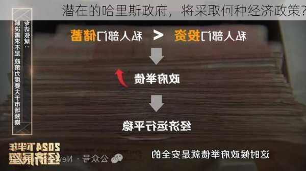 潜在的哈里斯政府，将采取何种经济政策？