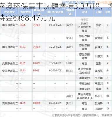 嘉澳环保董事沈健增持3.3万股，增持金额68.47万元