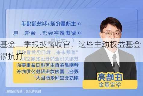 基金二季报披露收官，这些主动权益基金很抗打